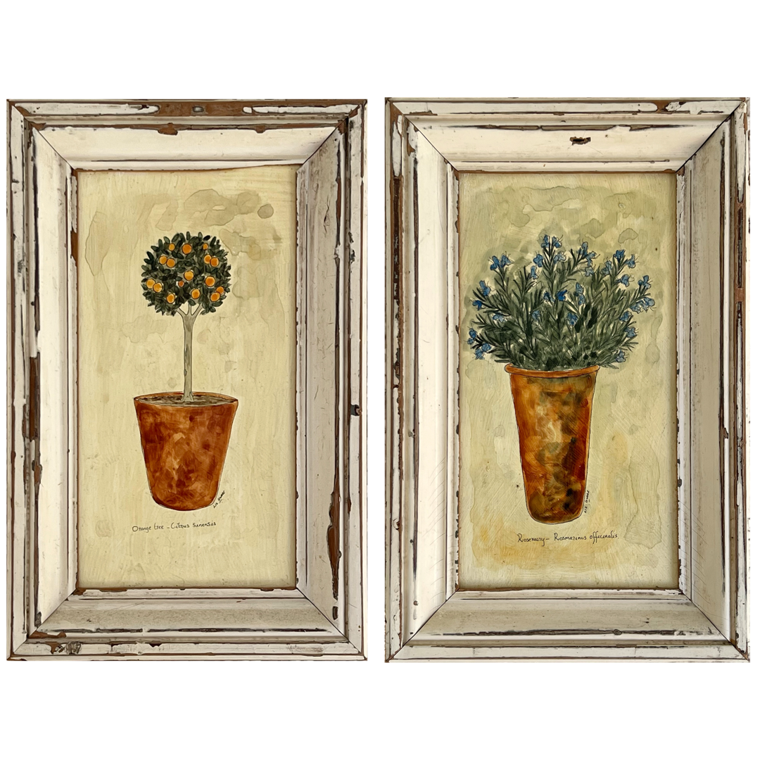 Liz Hoare 'Orange Tree' and 'Rosemary' Signed Culinary Botanicals Mixed Media Painting Pair