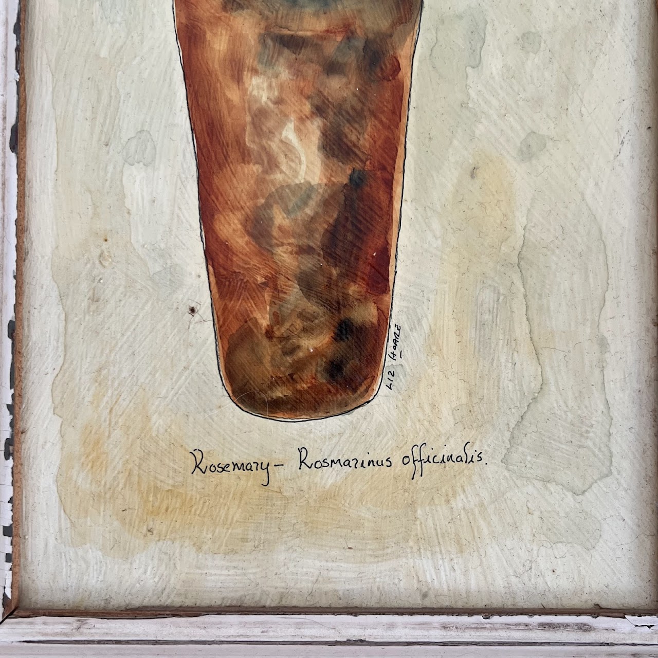 Liz Hoare 'Orange Tree' and 'Rosemary' Signed Culinary Botanicals Mixed Media Painting Pair