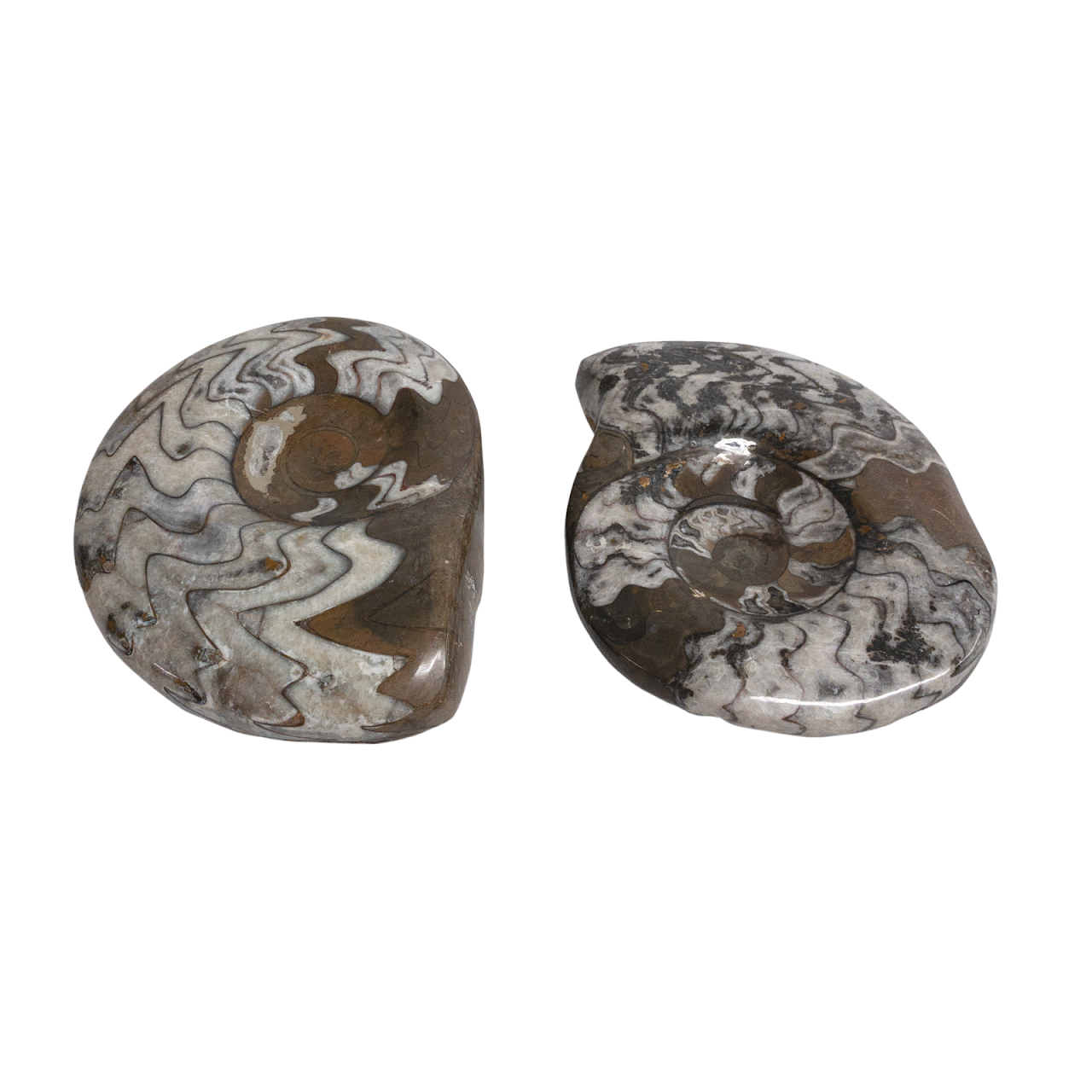 Ammonite-Inspired Stone Dish Pair