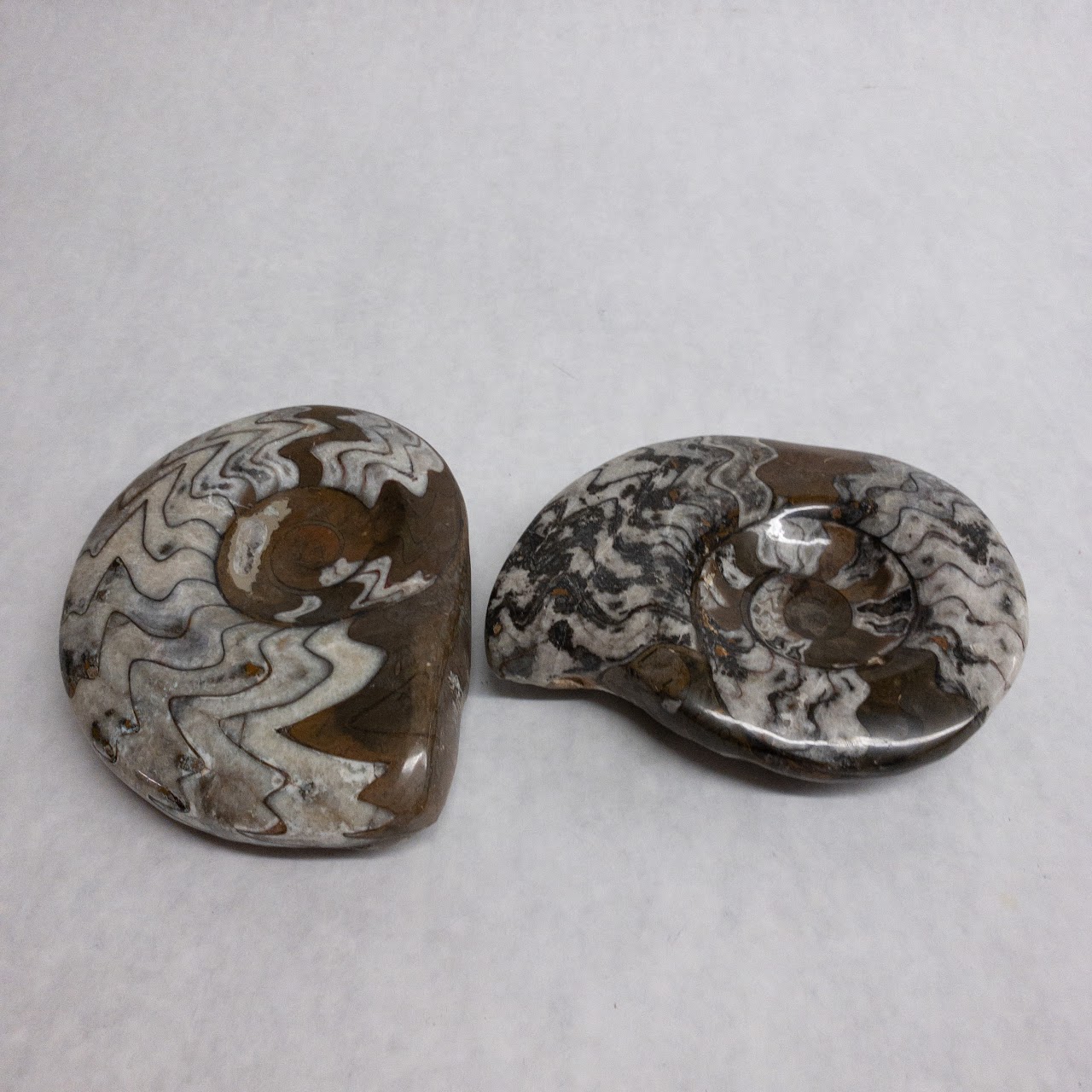 Ammonite-Inspired Stone Dish Pair