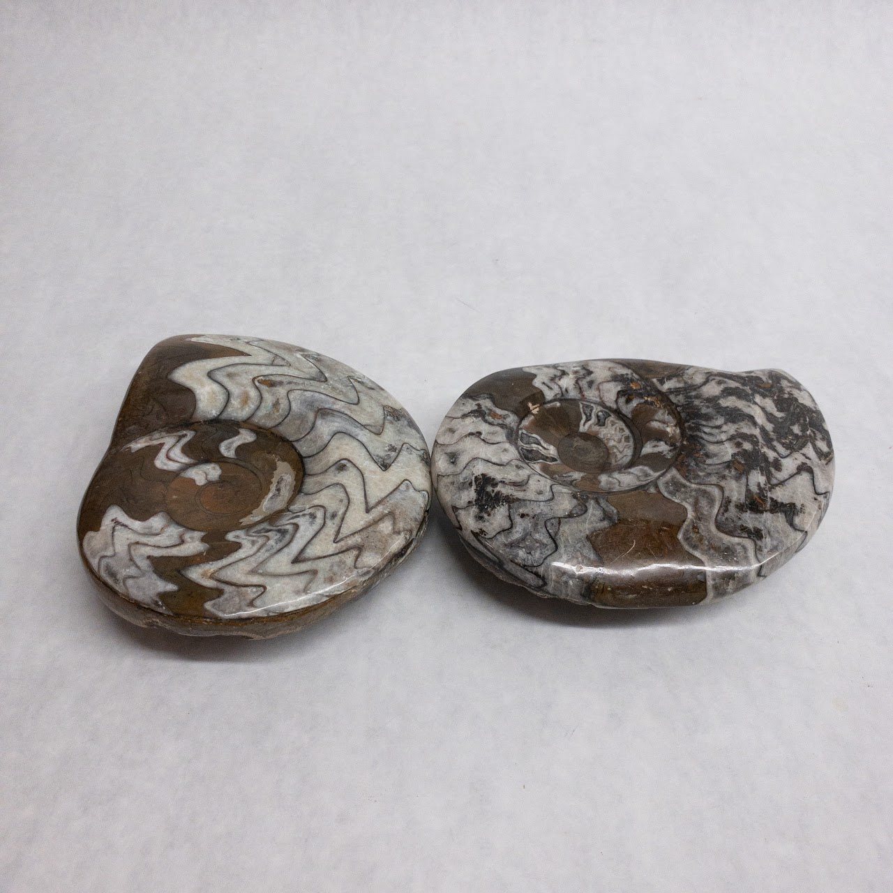 Ammonite-Inspired Stone Dish Pair