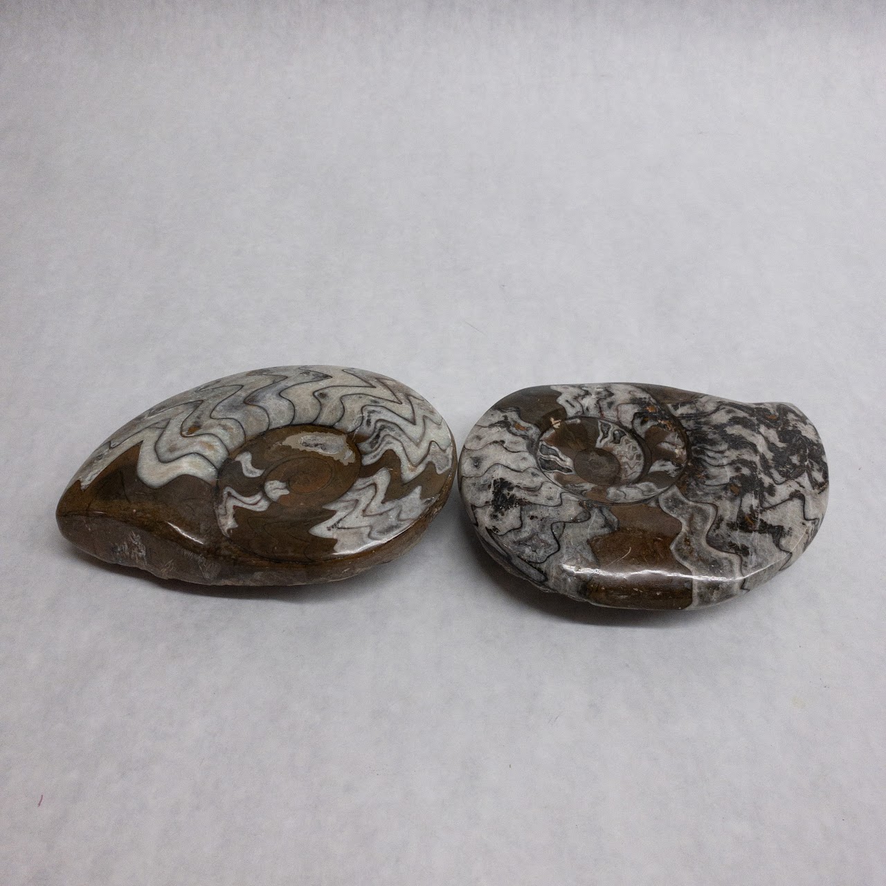 Ammonite-Inspired Stone Dish Pair