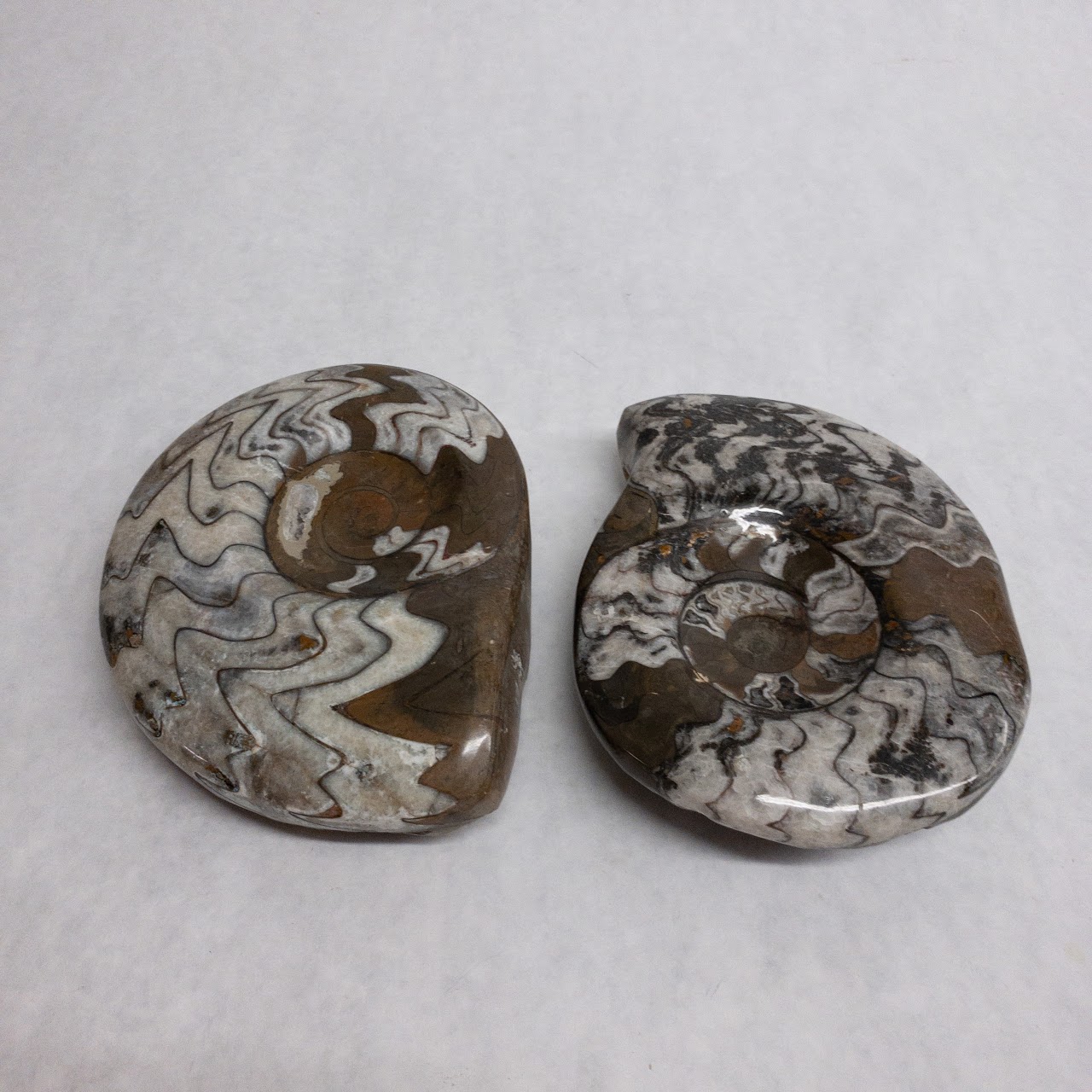 Ammonite-Inspired Stone Dish Pair