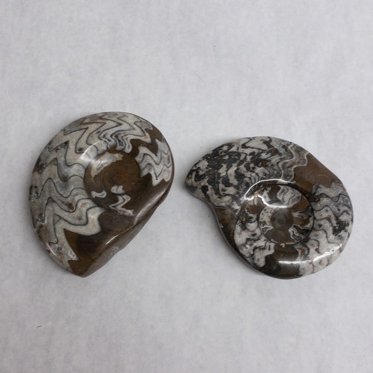 Ammonite-Inspired Stone Dish Pair