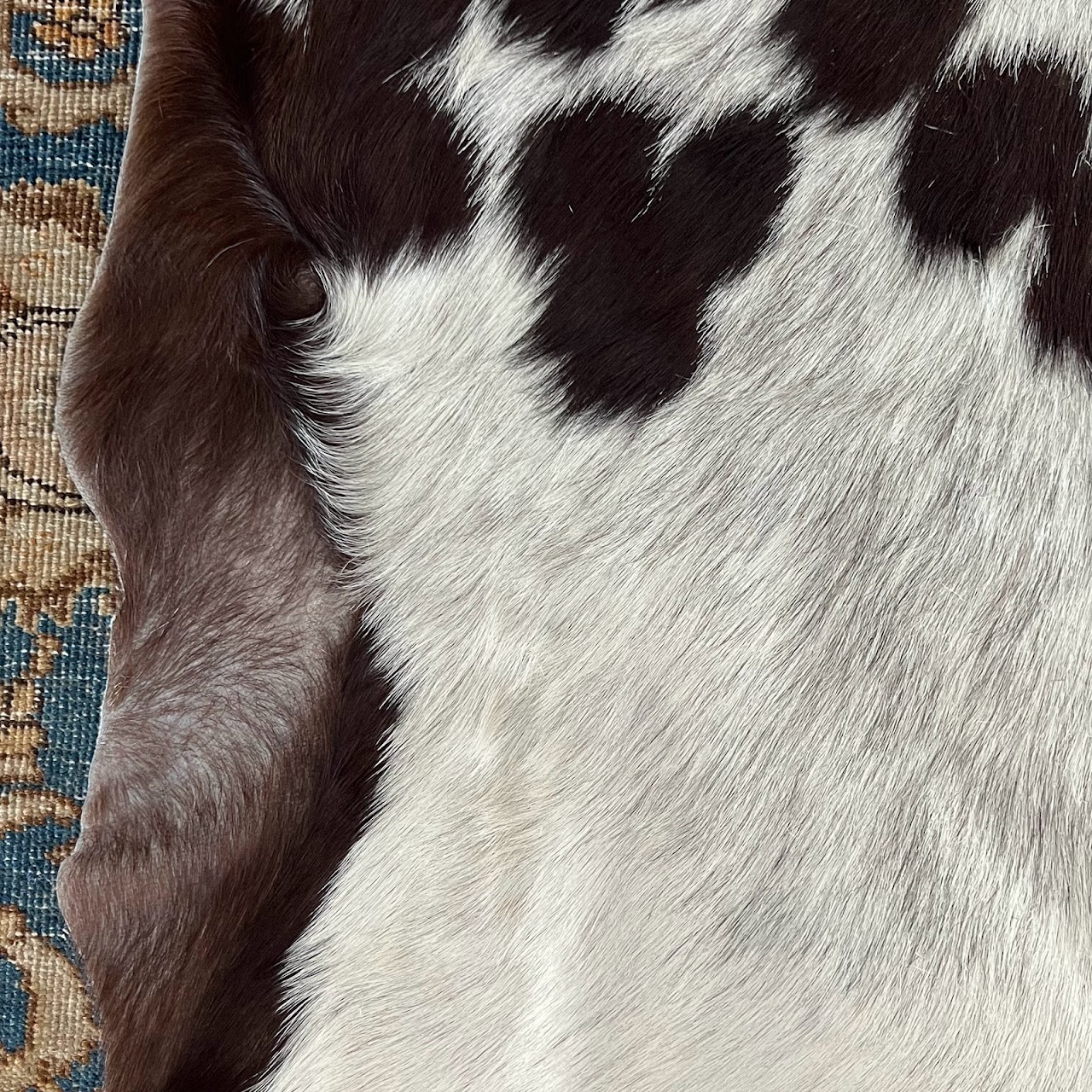 Small Goat Hide Rug