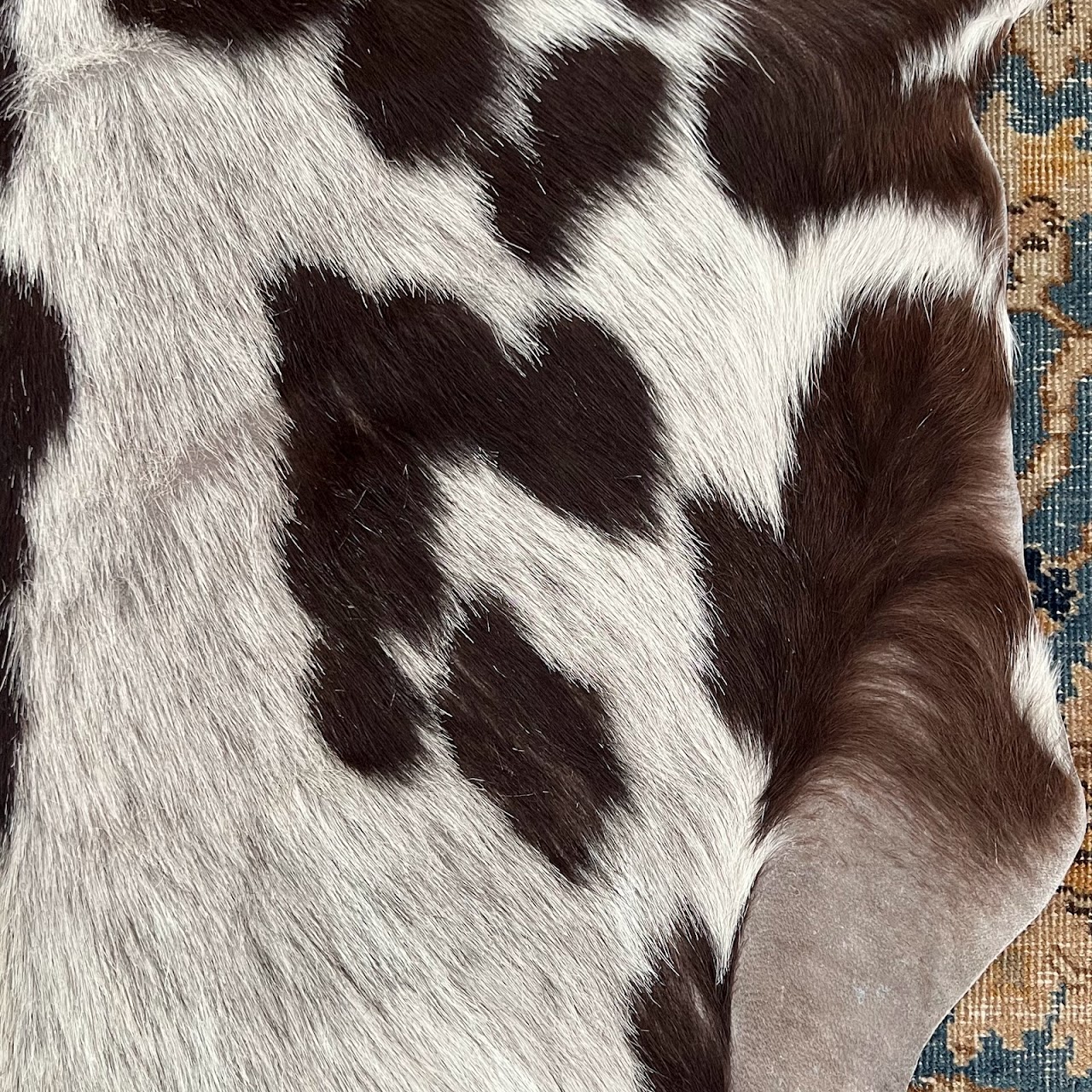 Small Goat Hide Rug