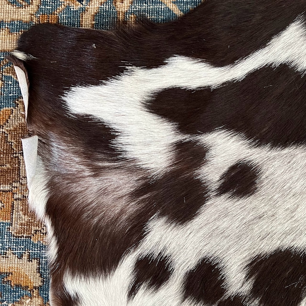 Small Goat Hide Rug